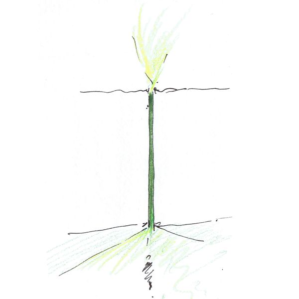 slit07