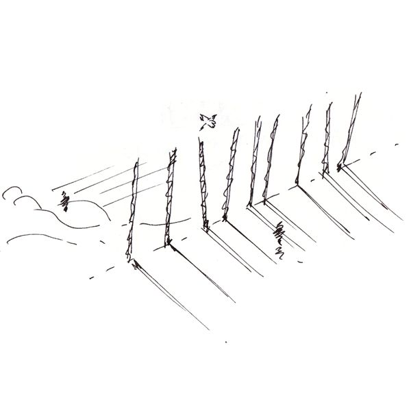slit07
