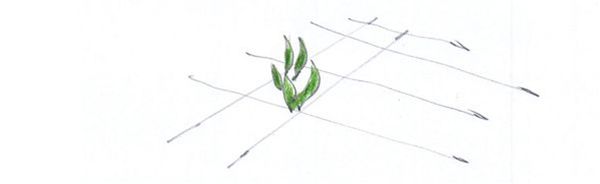 SAITAN16